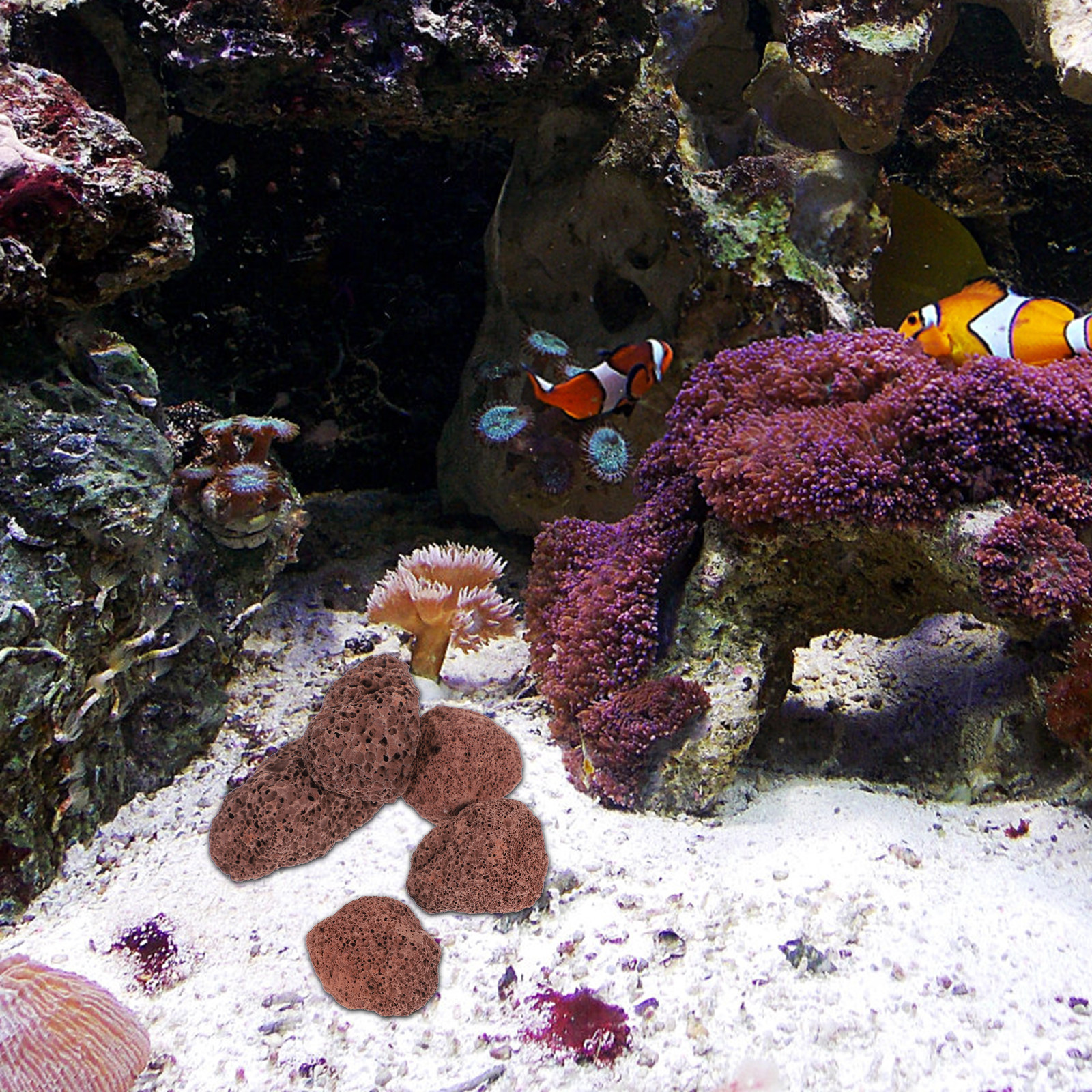Aquarium Marine Rock - 1 Bag Aquariums Volcanic Rocks Fish