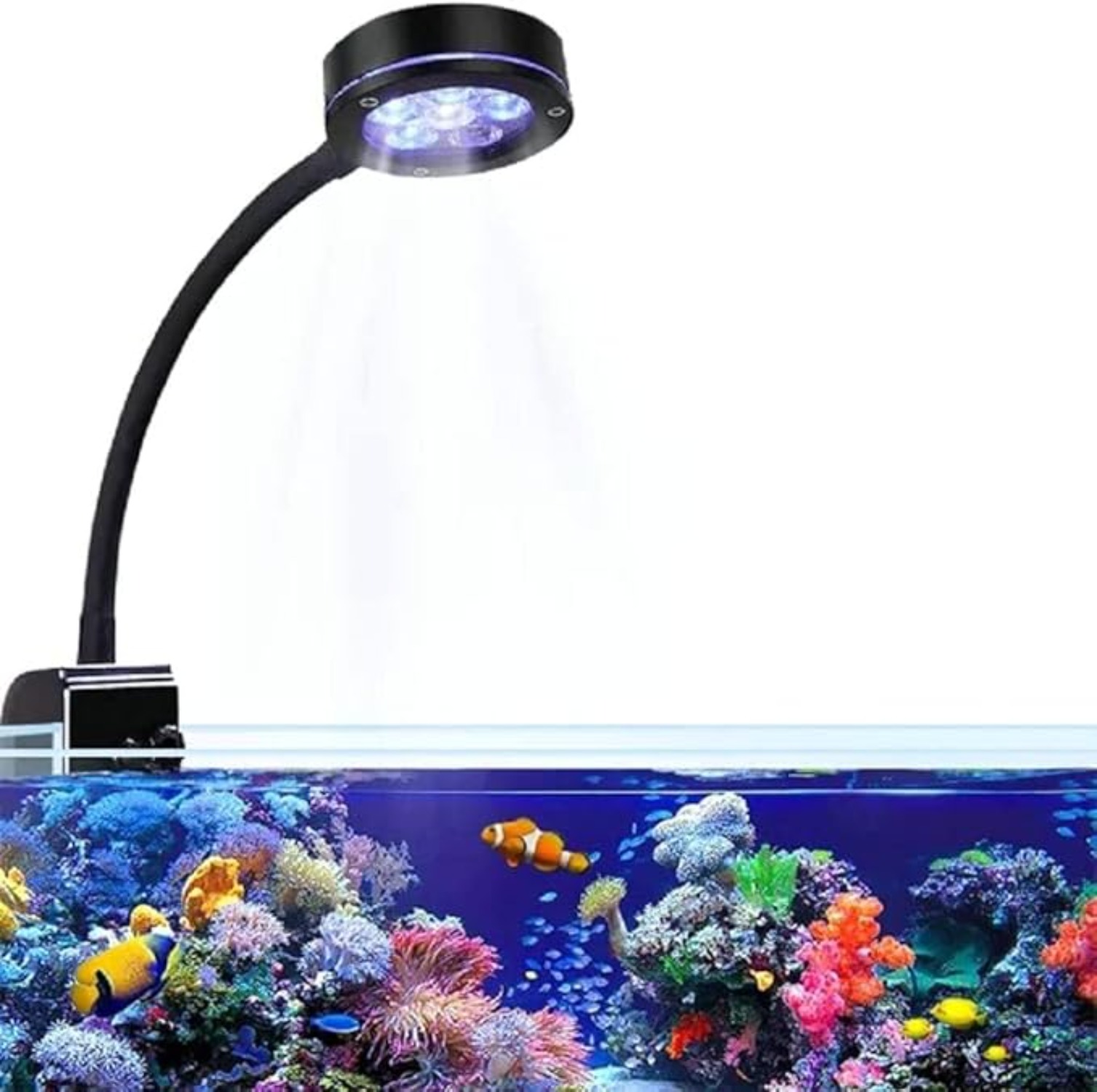 Aquarium Blue Marine - Aquarium LED Coral Reef Light Full