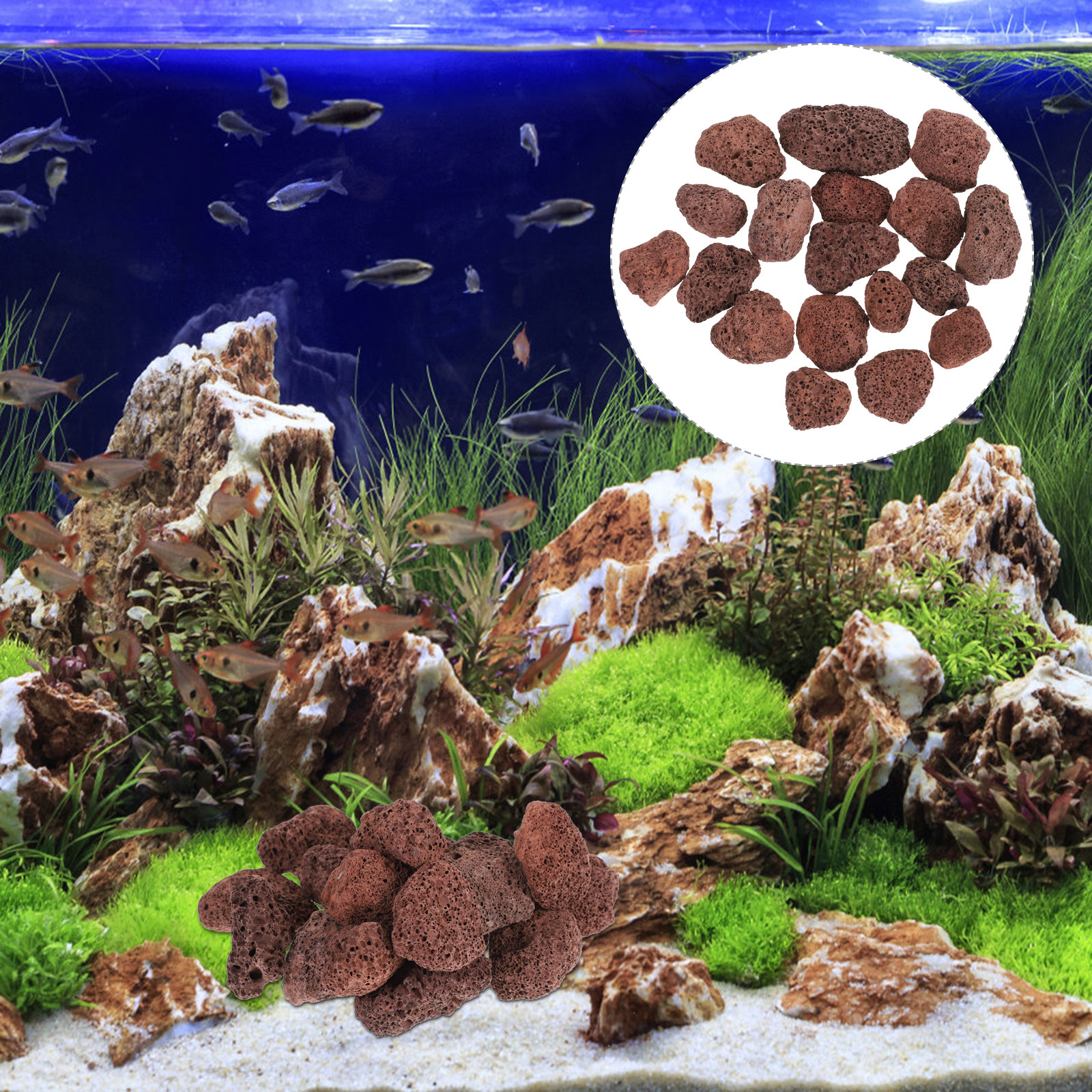 Aquarium Marine Rock - Volcanic Rock Aquariums Base Stable Water