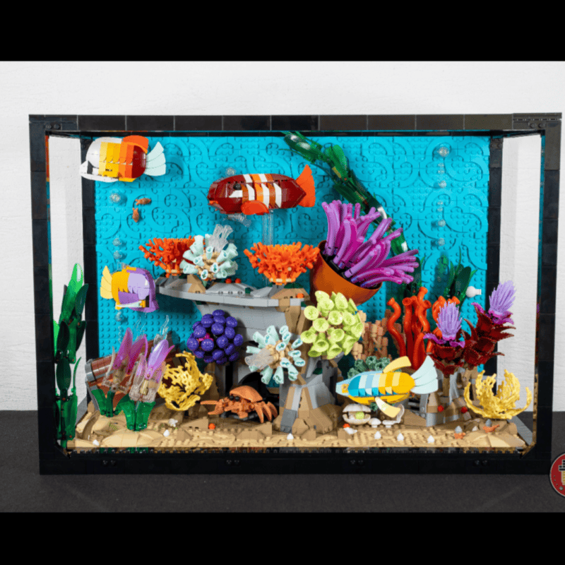 2026 Tropical Aquarium Fish Ta - Marine Aquarium Cube 评论和价格