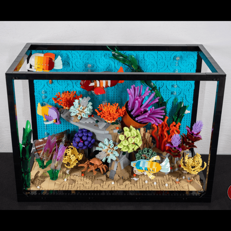 2026 Tropical Aquarium Fish Ta - Marine Aquarium Cube 评论和价格