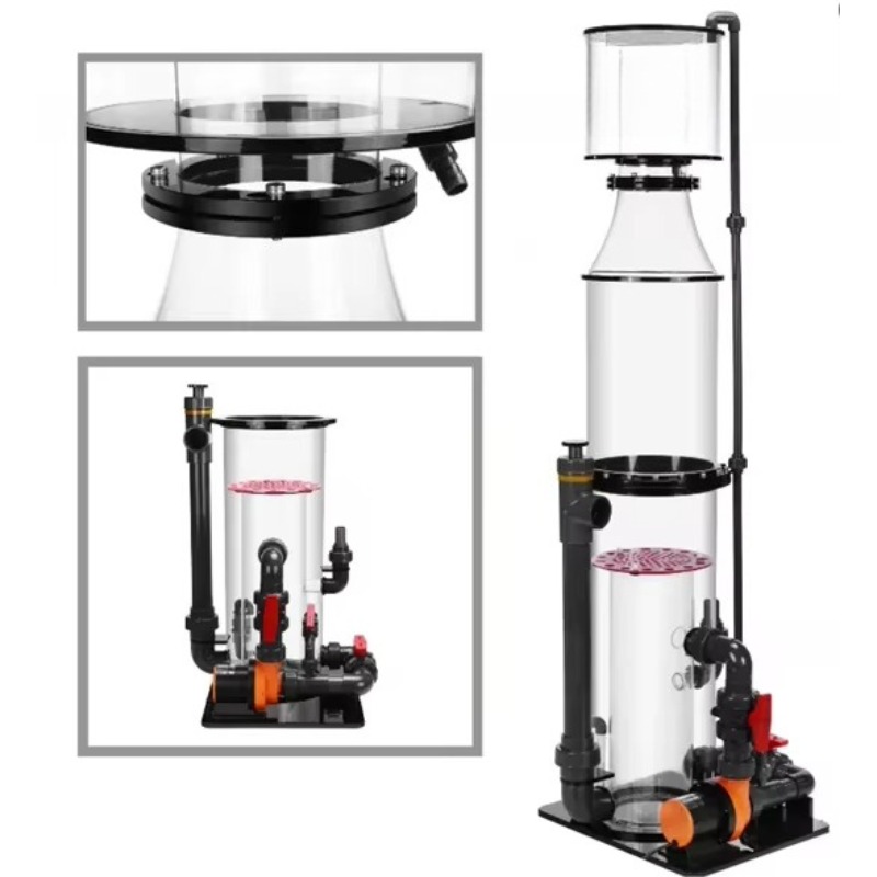 Large-capacity protein skimmer - Marine Aquarium & Regional Centre Photos 评论和价格
