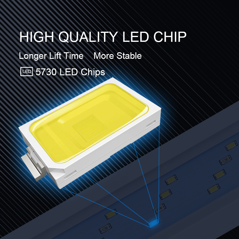 Extensible Waterproof Clip on  - Marine Aquarium Lamp 评论和价格