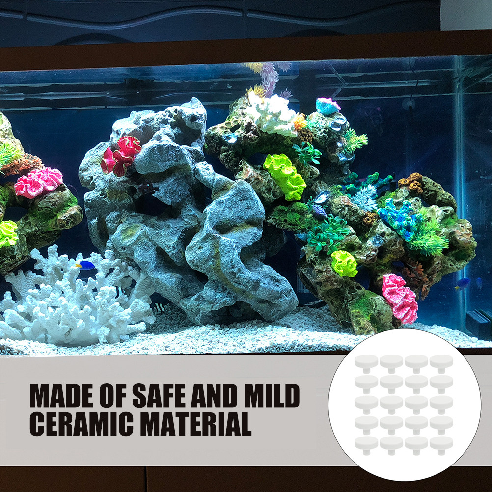 30Pcs Coral Frag Plugs T-Shape - Aquarium Marine Rock 评论和价格