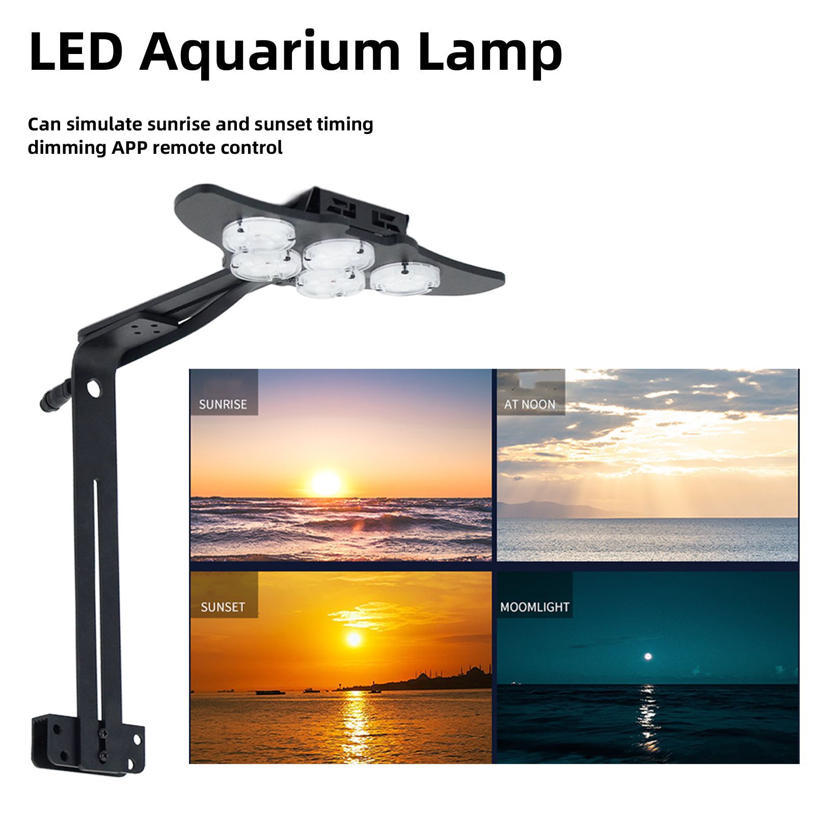 LED Marine Aquarium Coral Aqua - Marine Aquarium & Regional Centre Photos 评论和价格