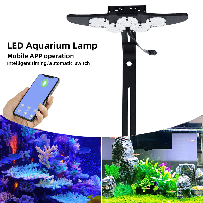 LED Marine Aquarium Coral Aqua - Marine Aquarium & Regional Centre Photos 评论和价格