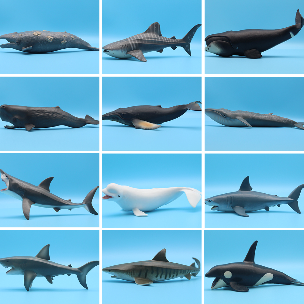 Ocean Sea Life Simulation Kill - Aquarium Blue Marine 评论和价格