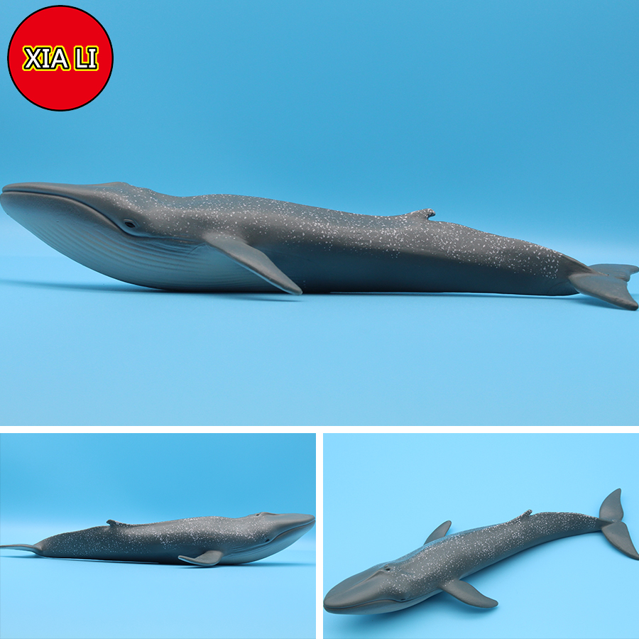 Ocean Sea Life Simulation Kill - Aquarium Blue Marine 评论和价格