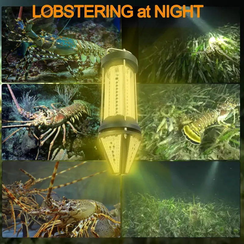 NS Green Blue White Yellow Out - Aquarium Blue Marine 评论和价格