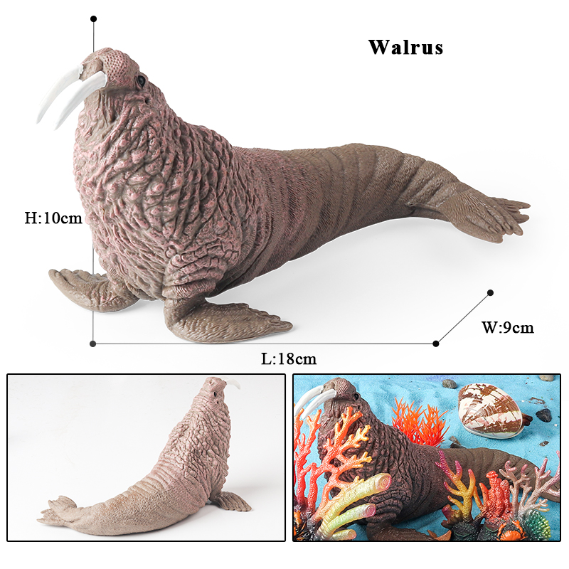 Oenux New Sea Life Seal Sea li - Aquarium Blue Marine 评论和价格