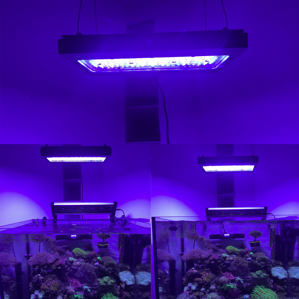 A8SE pro II MAX Blue 240W Mari - Aquarium Blue Marine 评论和价格