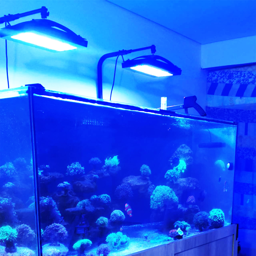 A8SE pro II MAX Blue 240W Mari - Aquarium Blue Marine 评论和价格