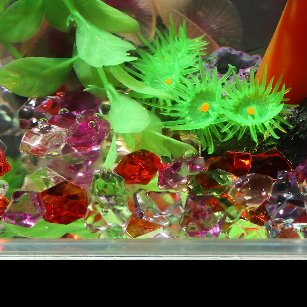 Confetti Aquarium Landscape Co - Marine Aquarium Cube 评论和价格
