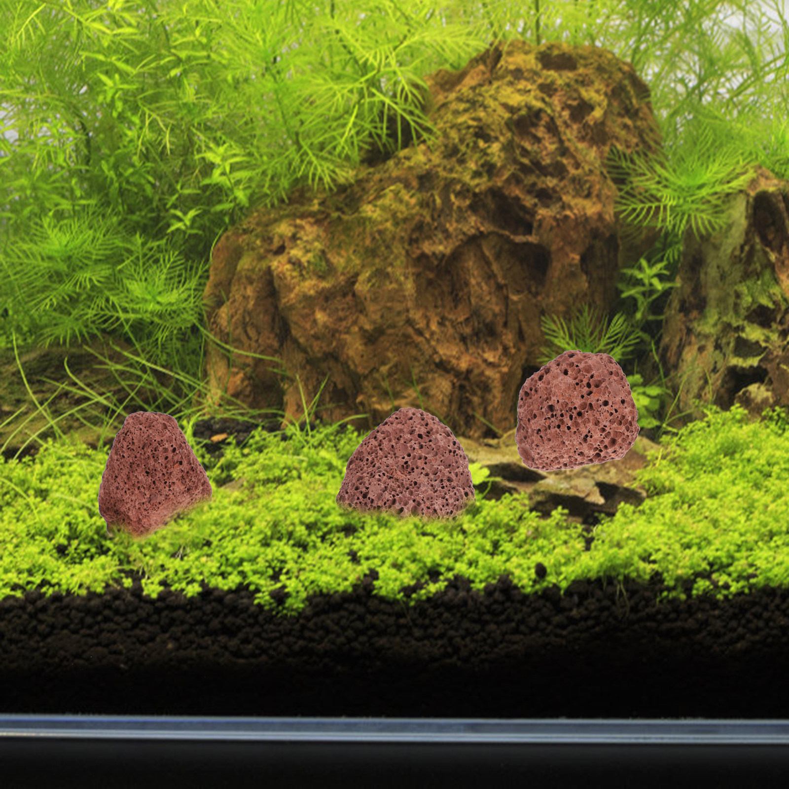 1 Bag Aquariums Volcanic Rocks - Aquarium Marine Rock 评论和价格