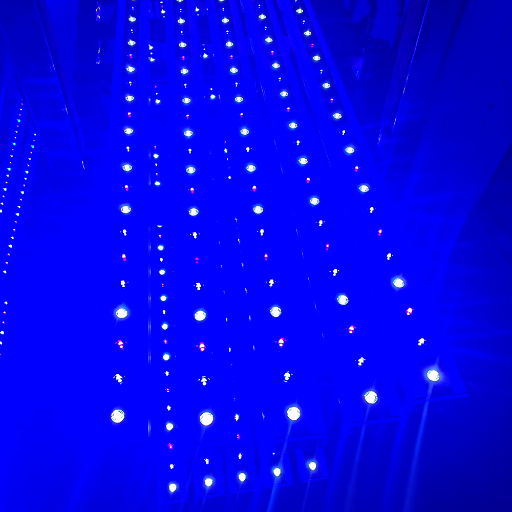 NEO Series Timer Blue Sky/Blue - Aquarium Blue Marine 评论和价格