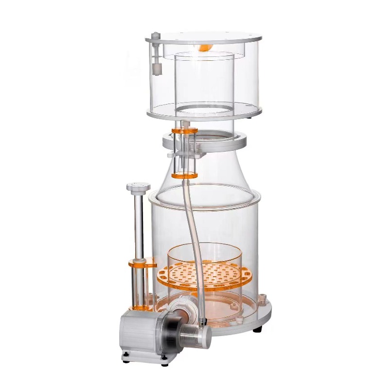 【Best-selling】DC Powered Preci - Marine Aquarium & Regional Centre Photos 评论和价格