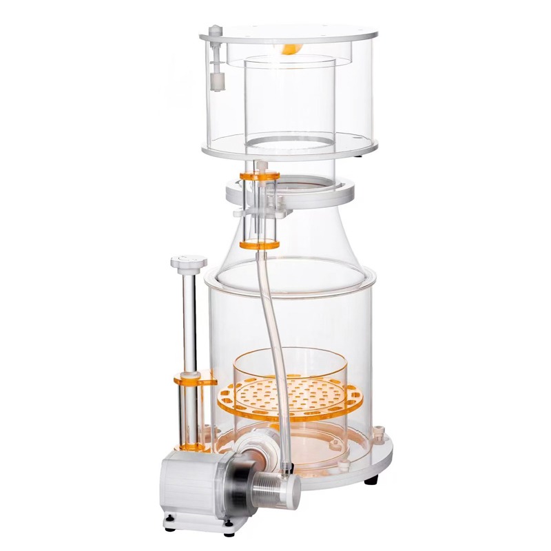 【Best-selling】DC Powered Preci - Marine Aquarium & Regional Centre Photos 评论和价格