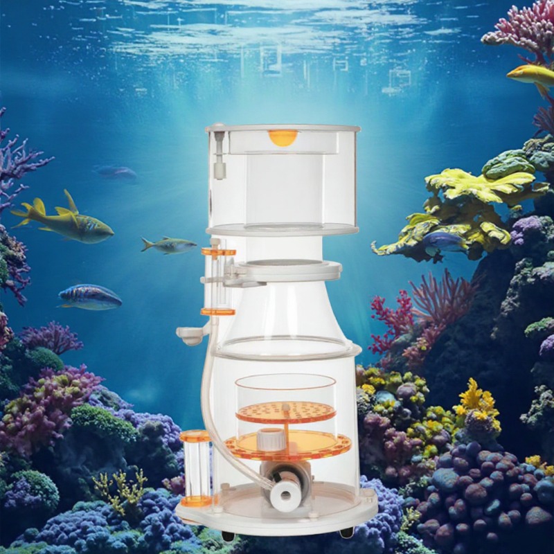 【Best-selling】DC Powered Preci - Marine Aquarium & Regional Centre Photos 评论和价格