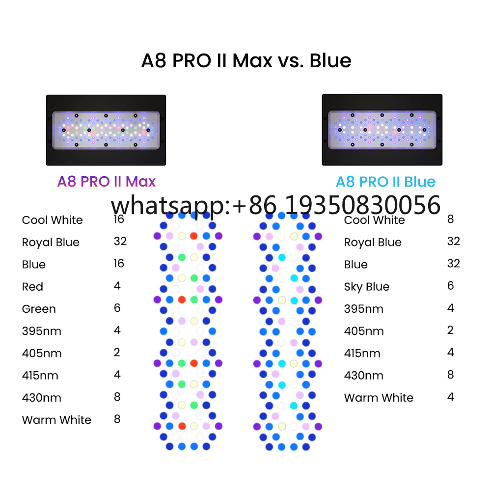 2026-A8 PRO II Max and Blue 24 - Marine Aquarium & Regional Centre Photos 评论和价格