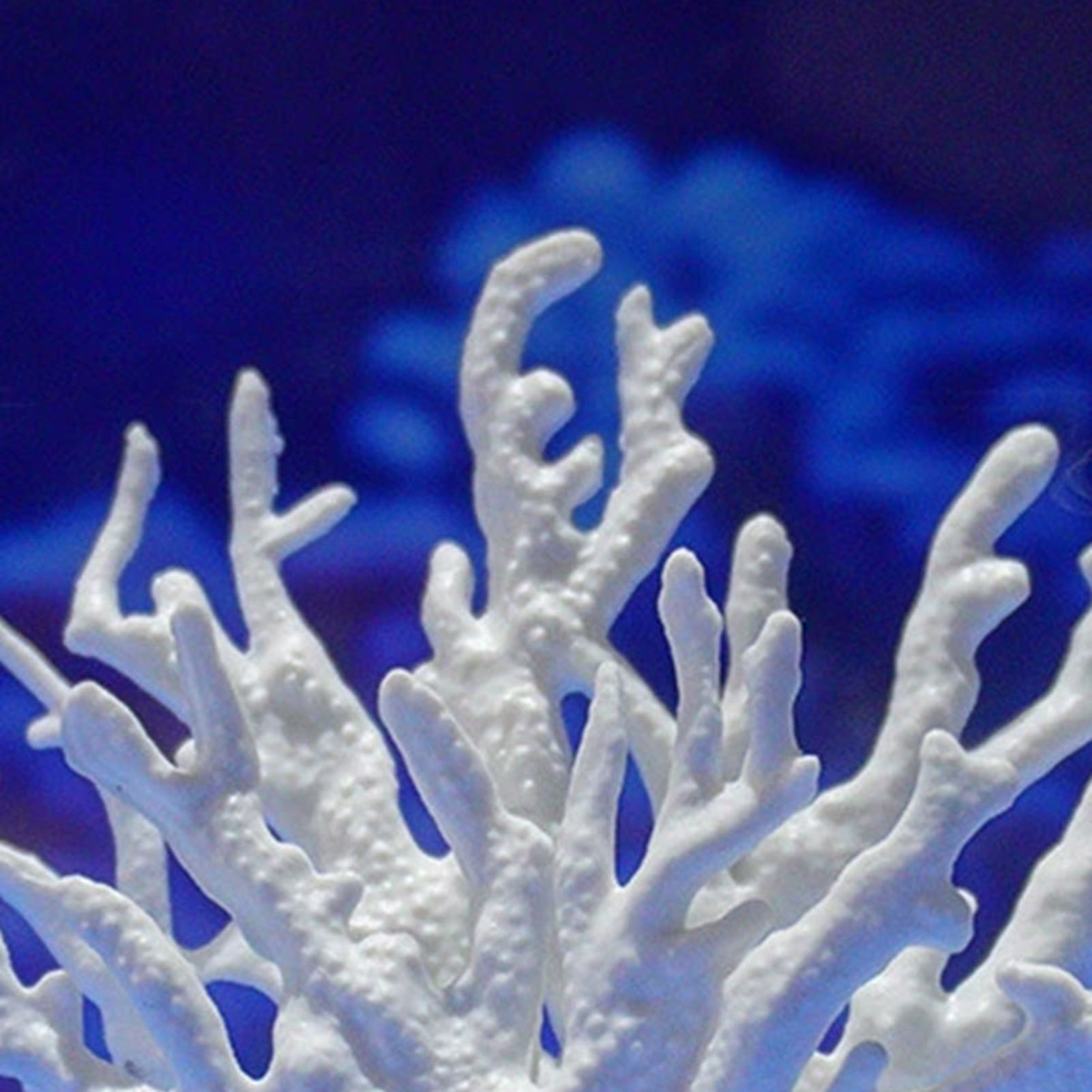 Fish Tank Aquascape Simulation - Aquarium Marine Rock 评论和价格