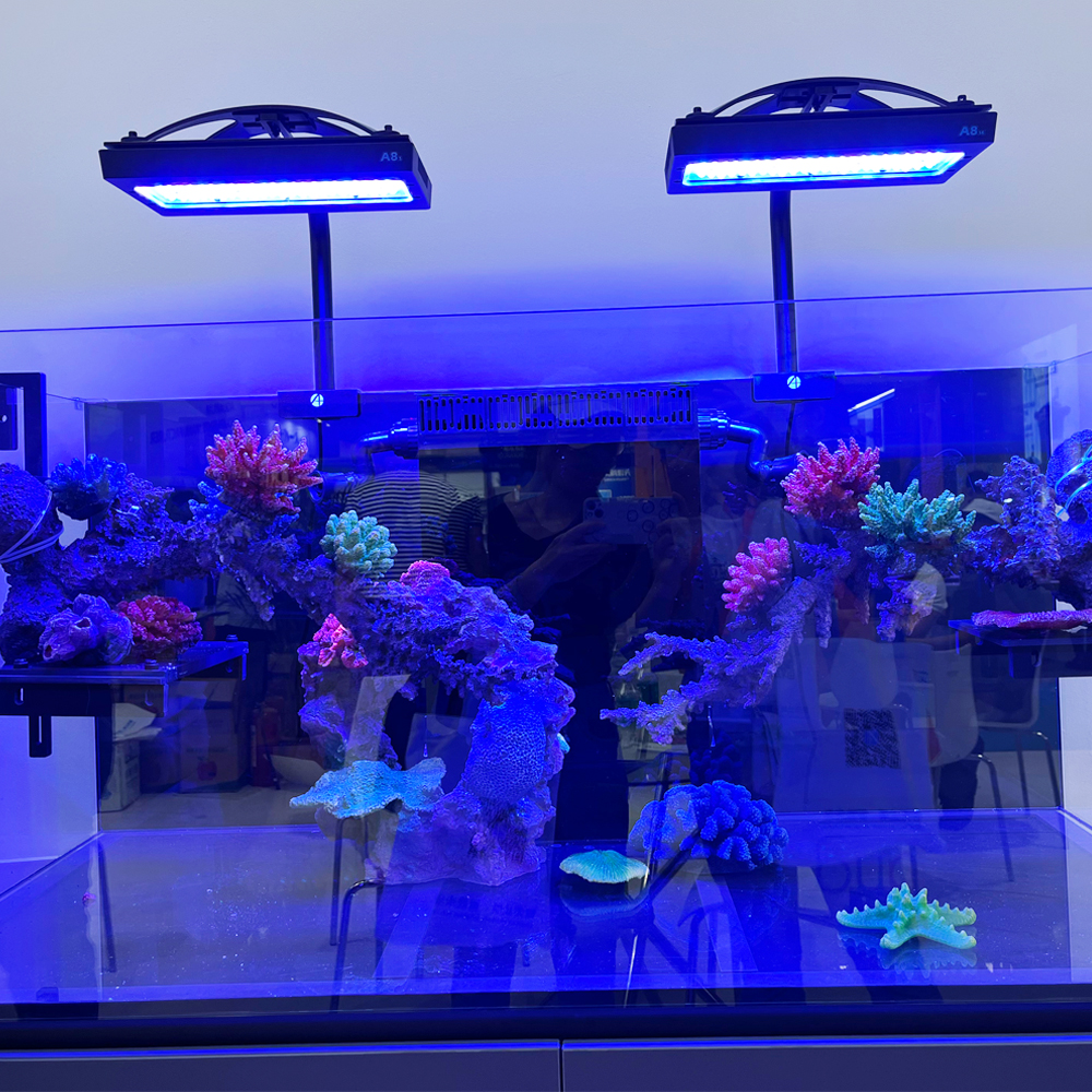 A8se A8pro 240W WiFi Applicati - Aquarium Blue Marine 评论和价格