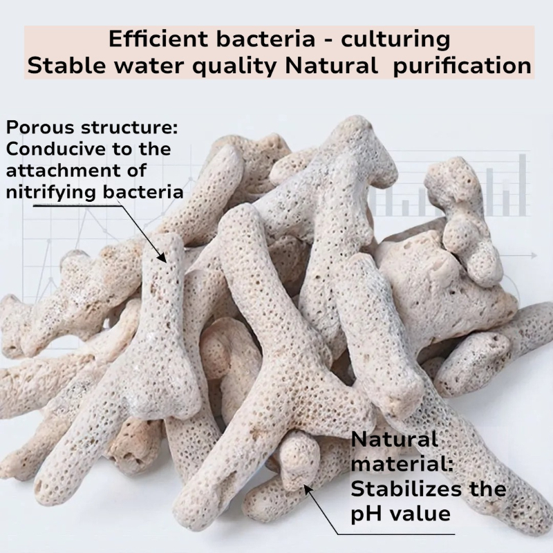 Natural Coral Bone Filter Medi - Calcium Reactor Media 评论和价格
