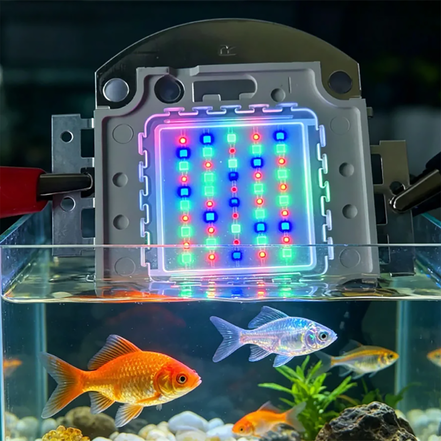 50W 60W 70W 100W RGB 26-28V Hi - Aquarium Blue Marine 评论和价格