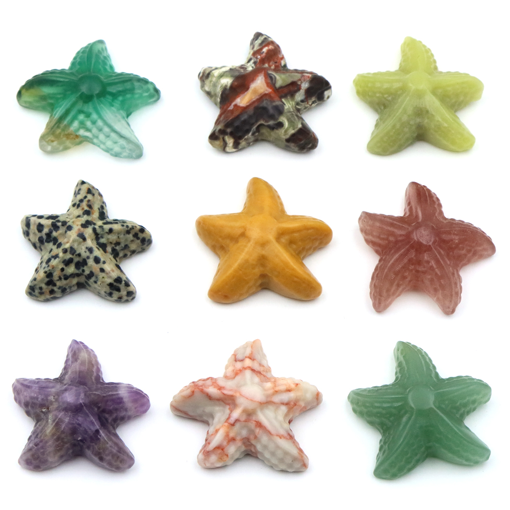 35mm Starfish Shape Statue Mar - Marine Aquarium & Regional Centre Photos 评论和价格