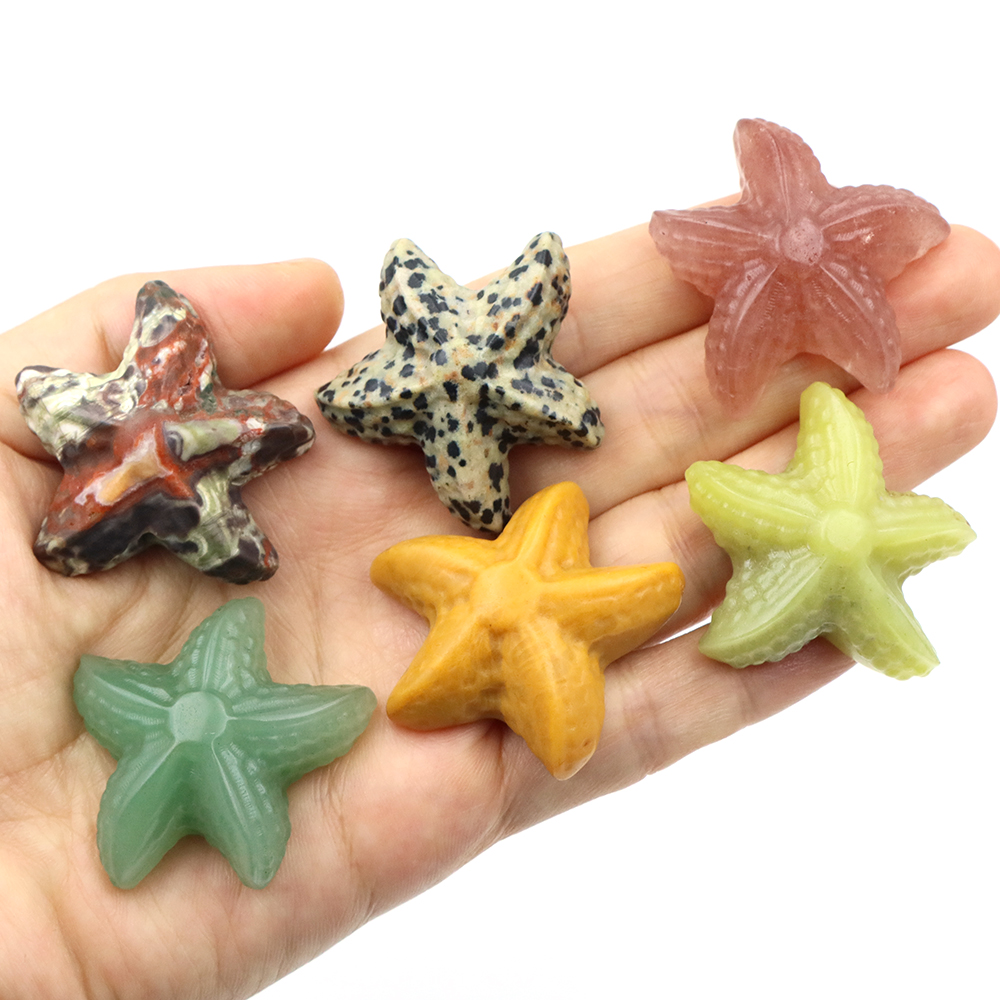 35mm Starfish Shape Statue Mar - Marine Aquarium & Regional Centre Photos 评论和价格