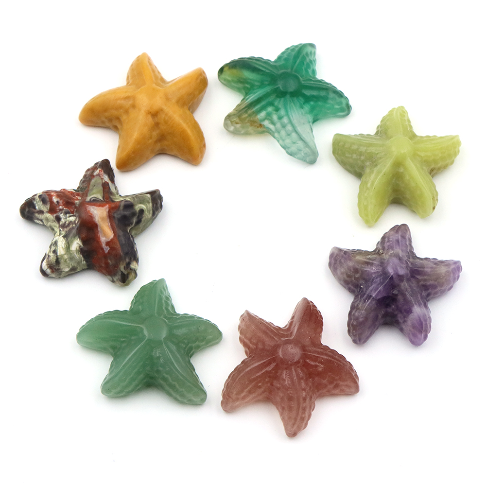 35mm Starfish Shape Statue Mar - Marine Aquarium & Regional Centre Photos 评论和价格