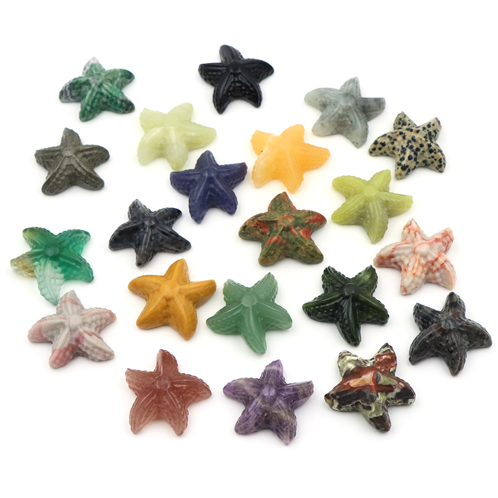 35mm Starfish Shape Statue Mar - Marine Aquarium & Regional Centre Photos 评论和价格