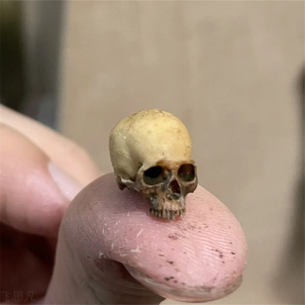 Mini Skull High Quality Miniat - Marine Aquarium Mini 评论和价格