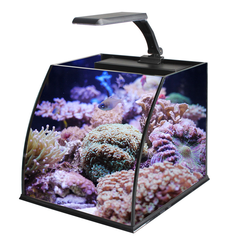 Ultra Clear Glass Mini Salt Wa - Marine Aquarium Cube 评论和价格