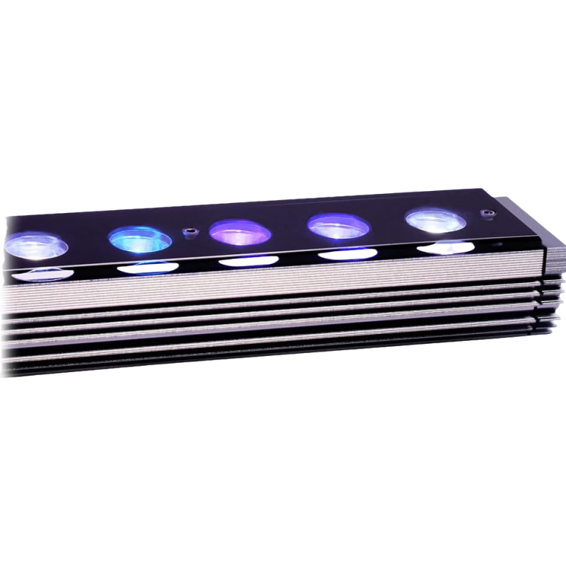 Reef Emitting Diode Aquarium 6 - Aquarium Blue Marine 评论和价格
