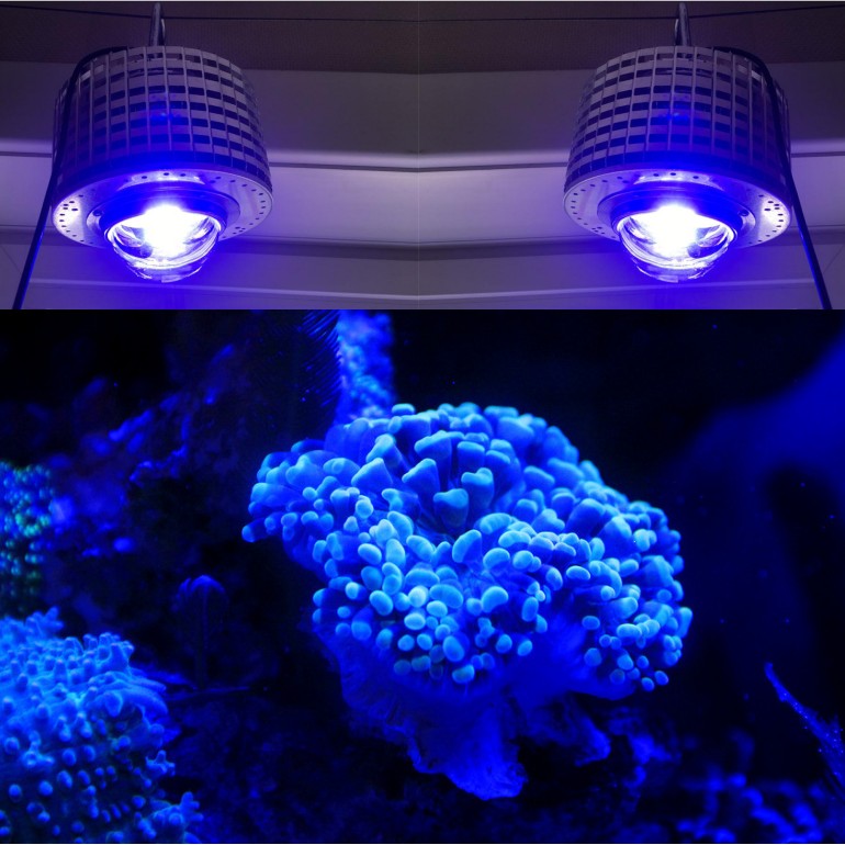 LED Aquarium Lighting Full Spe - Aquarium Blue Marine 评论和价格