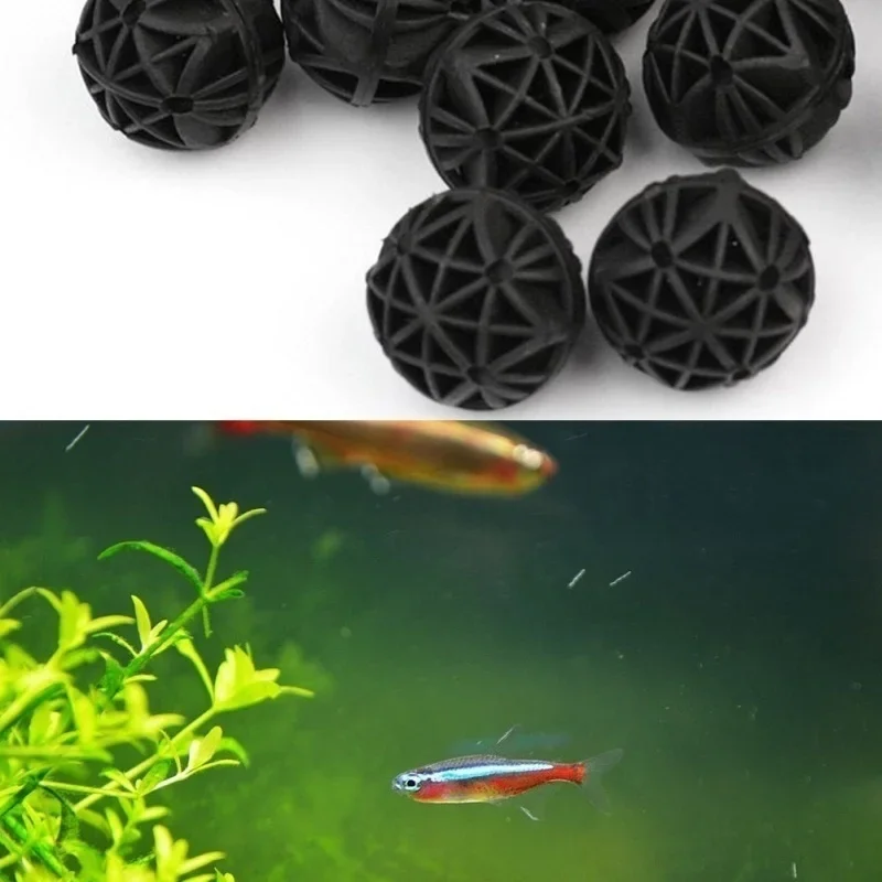 20Pcs 16mm Aquarium Filter Bio - Marine Aquarium & Regional Centre Photos 评论和价格