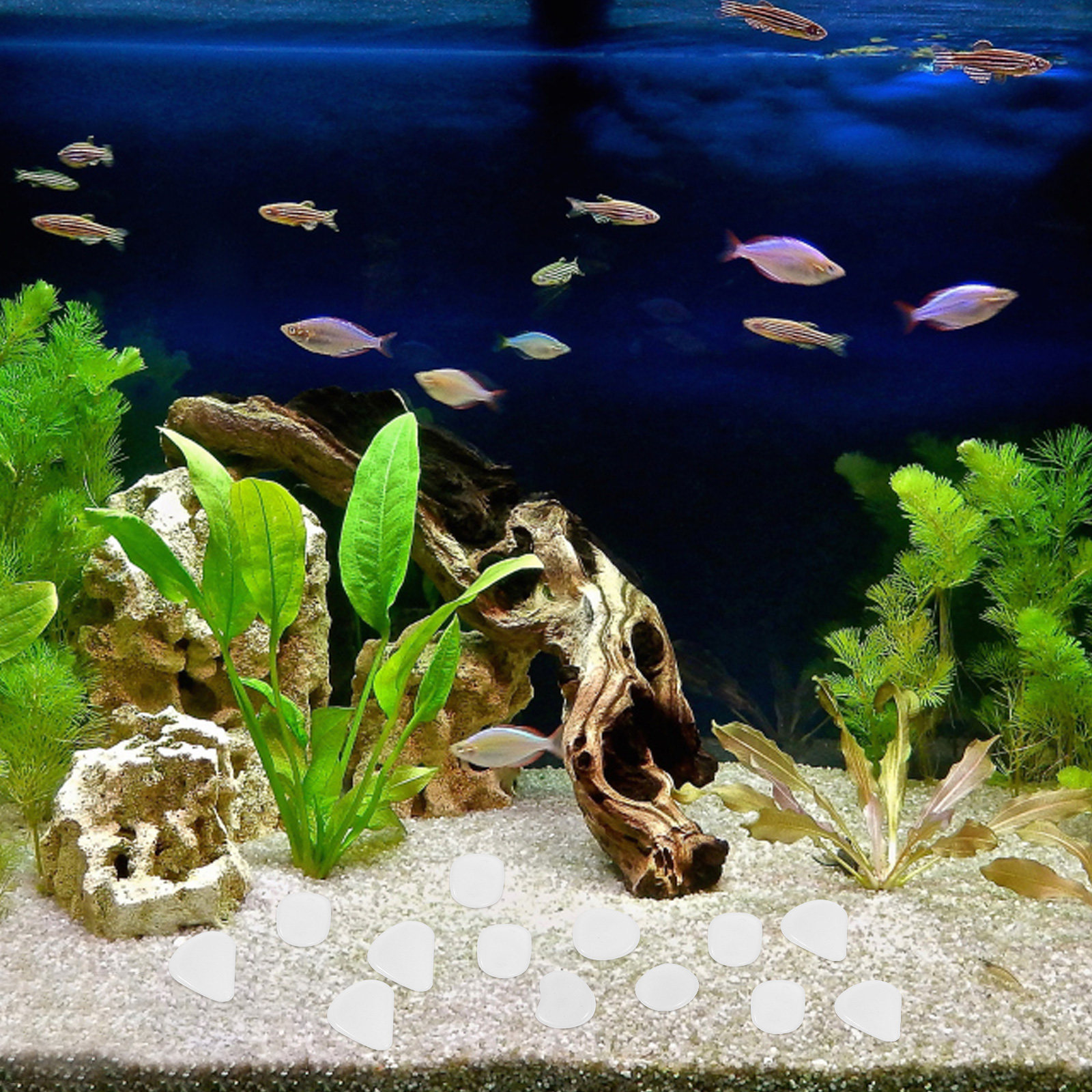 200Pcs Glowing Stone Pebbles A - Aquarium Marine Rock 评论和价格