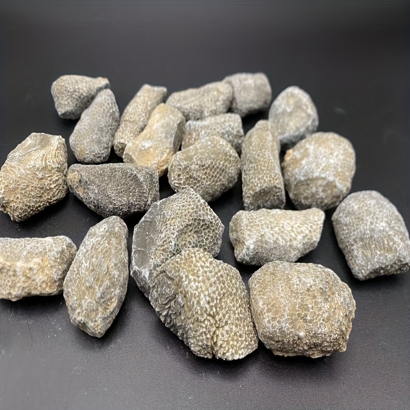 1pc Natural Coral Rock Suitabl - Aquarium Marine Rock 评论和价格