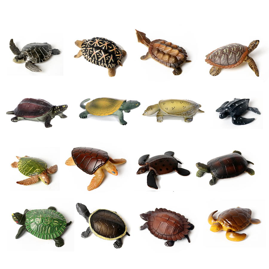 Realistic Miniatures Marine Li - Marine Aquarium & Regional Centre Photos 评论和价格