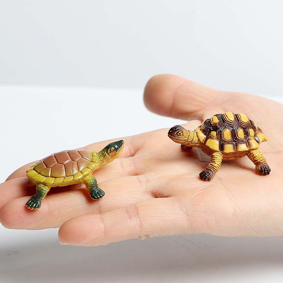 Realistic Miniatures Marine Li - Marine Aquarium & Regional Centre Photos 评论和价格