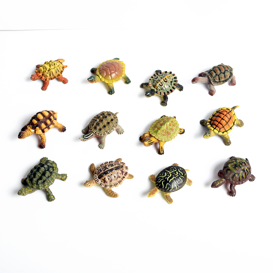 Realistic Miniatures Marine Li - Marine Aquarium & Regional Centre Photos 评论和价格