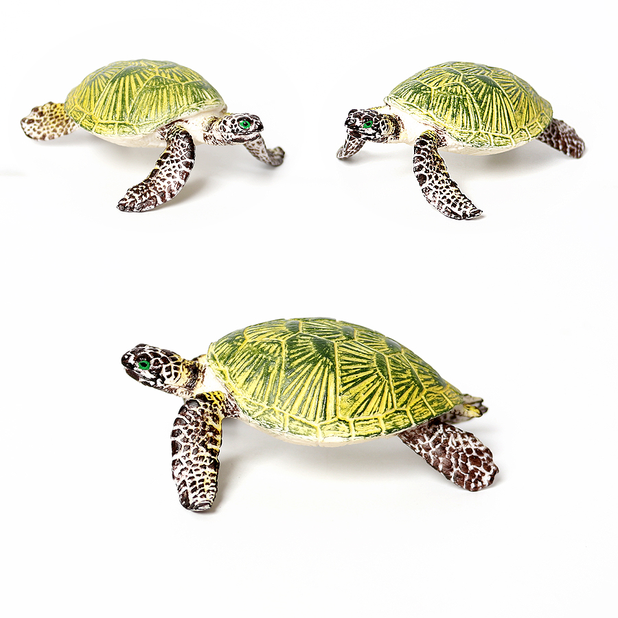Realistic Miniatures Marine Li - Marine Aquarium & Regional Centre Photos 评论和价格